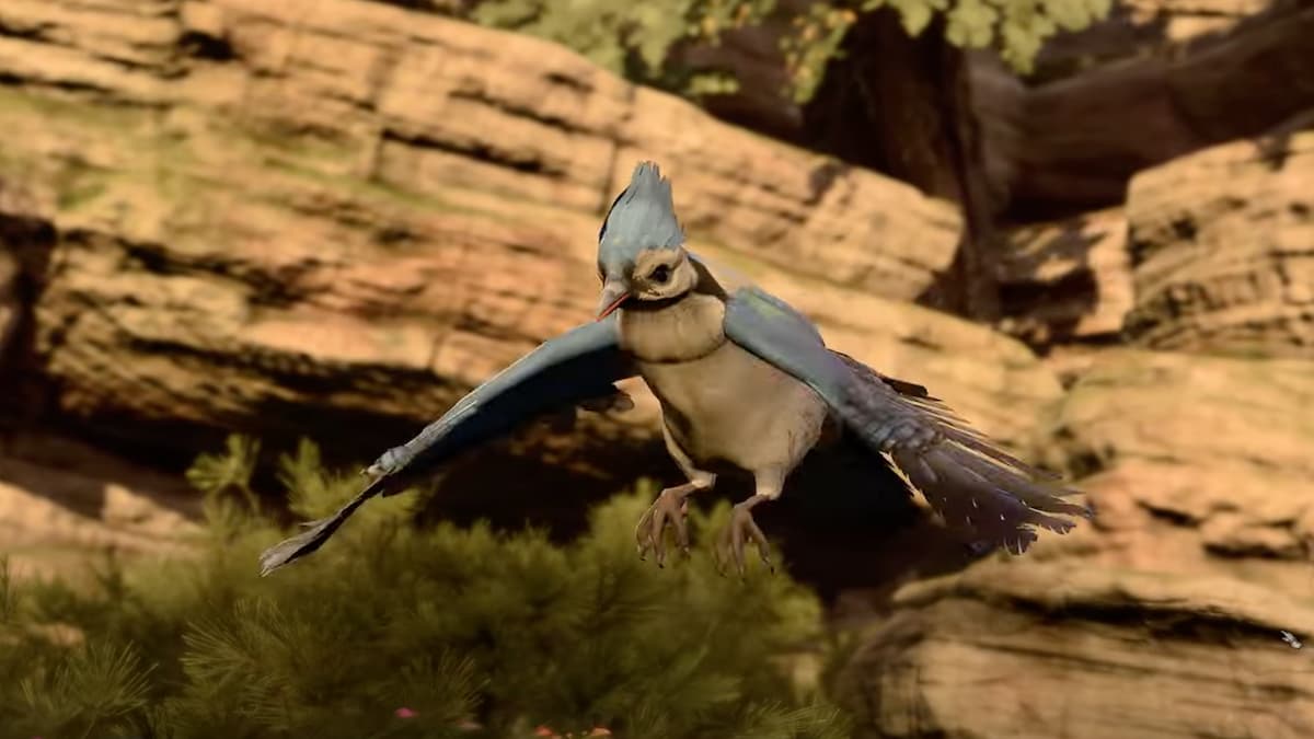 Blue Jay in Baldur's Gate 3