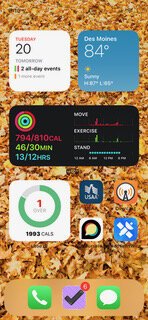 iPhone Home Screen.jpeg