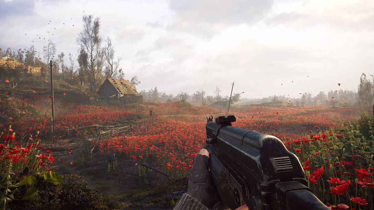 STALKER 2 first person POV holding gun looking at field of red flowers and clear skies mouse input lag